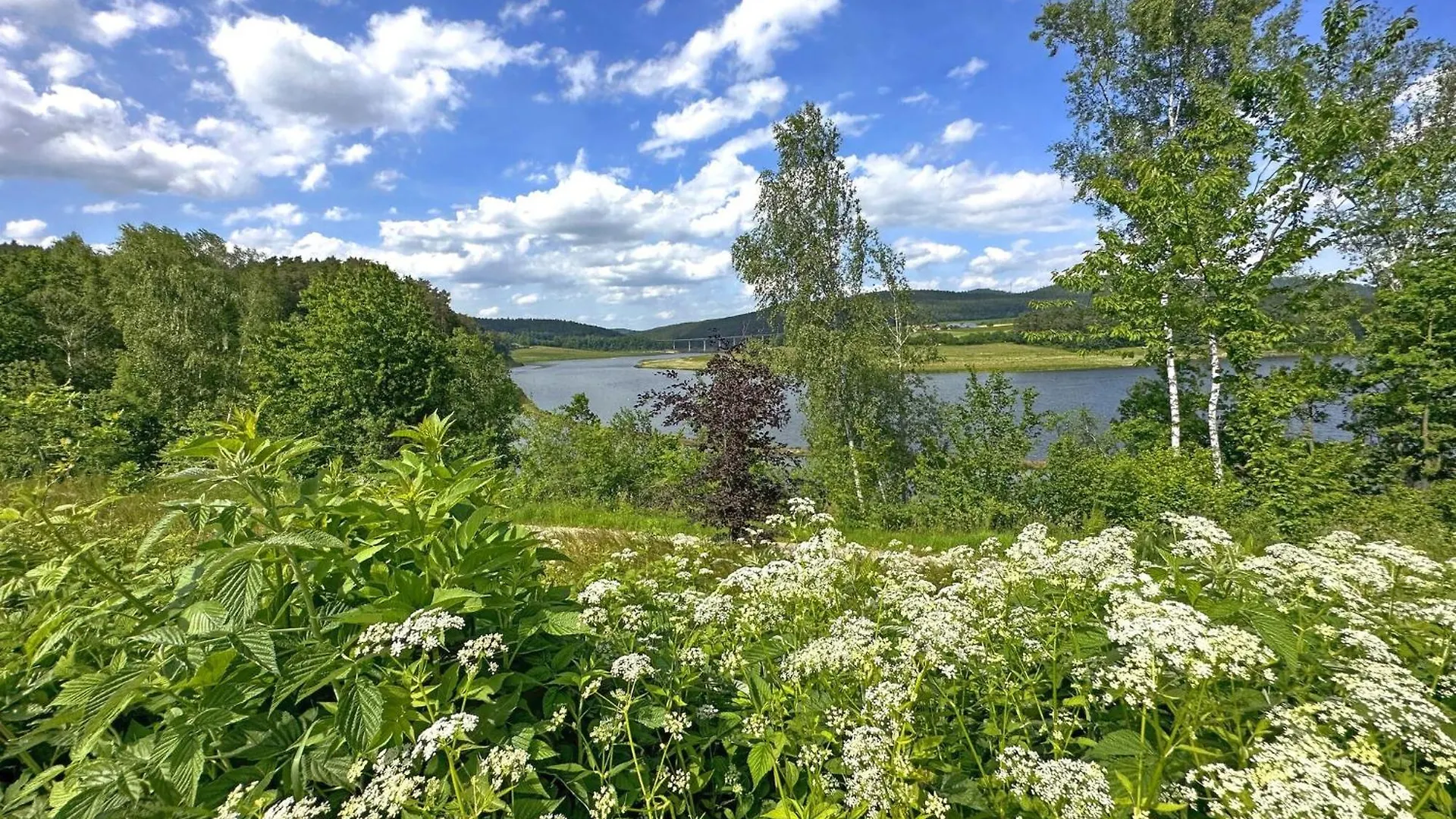 Feriendorf Seeblick - Premium Tinyhouse Mit Sauna Und Hottub Neunburg vorm Wald Tatil Evi