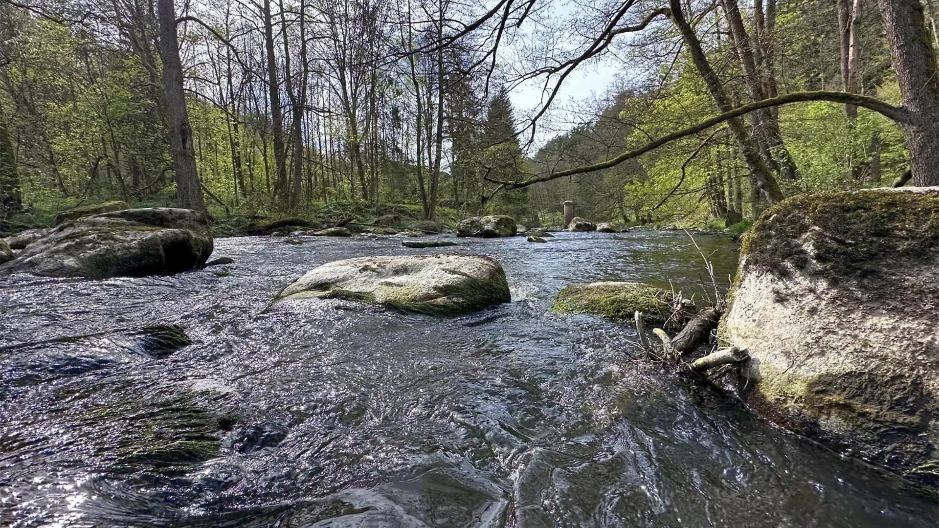 Feriendorf Seeblick - Premium Tinyhouse Mit Sauna Und Hottub Neunburg vorm Wald Tatil Evi